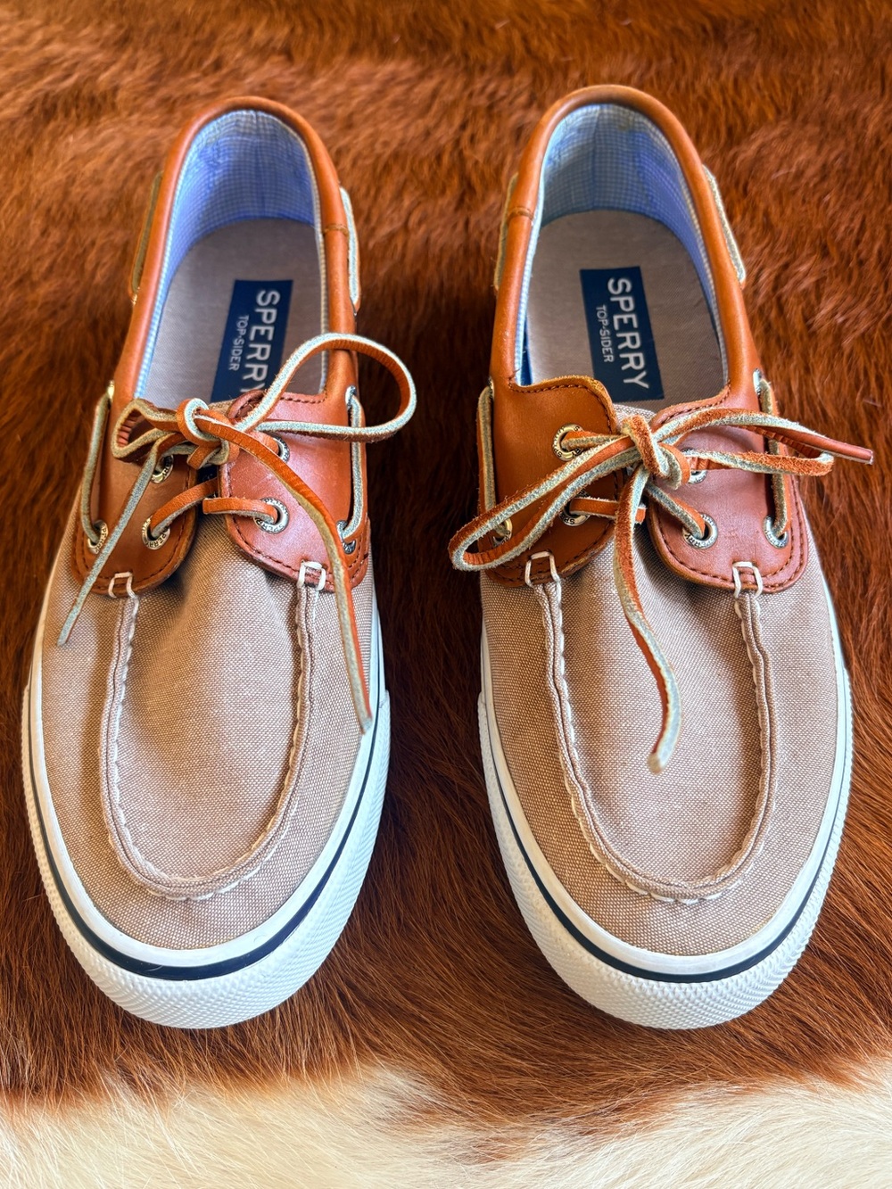 NEW!! Men’s Sperry- Boat Shoes. Size 8.5